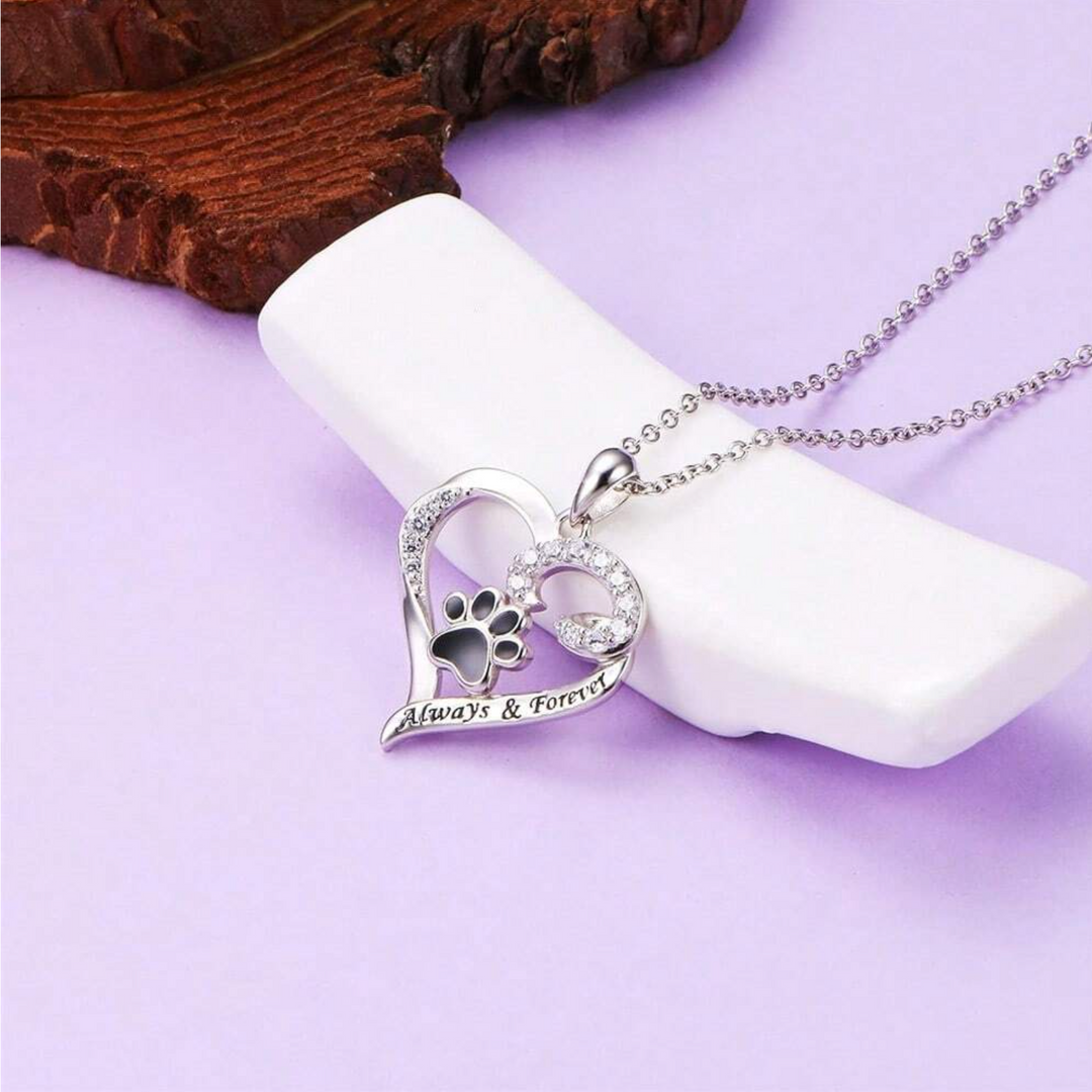 Collier Patte de Chien – Design en Cœur en Acier Inoxydable avec Zirconia